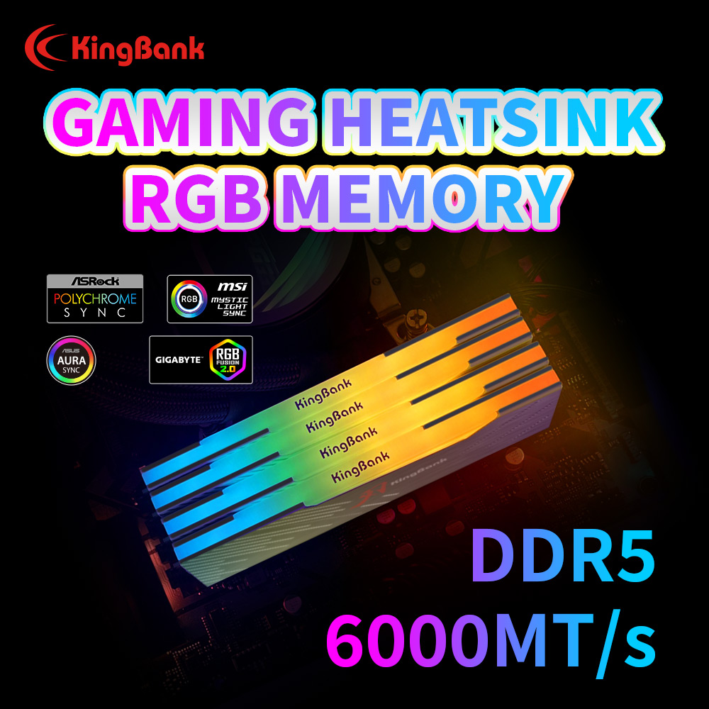 킹뱅크 KRRB DDR5 RGB 소어블레이드 시리즈 3 - Pc Gaming Ddr5 리뷰 및 가격